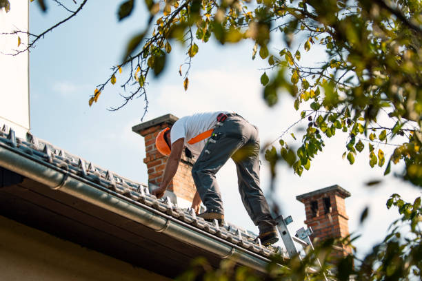 Best Commercial Roof Installation  in Ninety Six, SC